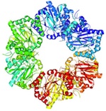 Biochemistry at it’s best!