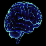 Brain Workouts – Neuroplasticity