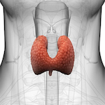 Subclinical Hypthyroidism and Mortality