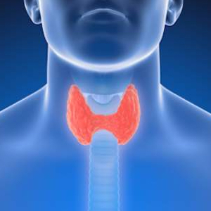 What is optimal thyroid function?